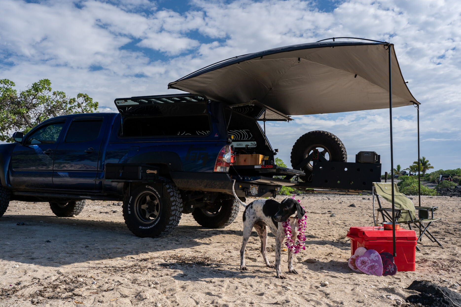 images_ePIM_original_Leer-180-Bedslide-Toyota-Blue-DS-3-4-Rear-Canopy_w1870_h1270_q80_t1742417324.avif
